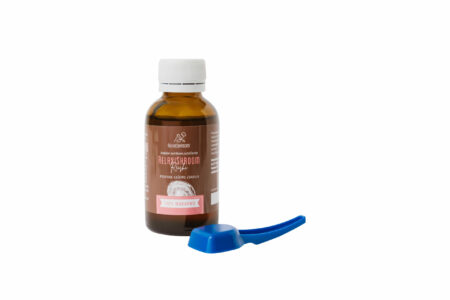RelaxiShroom<br>Svetlikava pološčenka (Reishi) - Image 4
