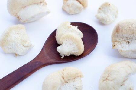 CerebriShroom<br>Resasti bradovec (Lions Mane) - Image 3