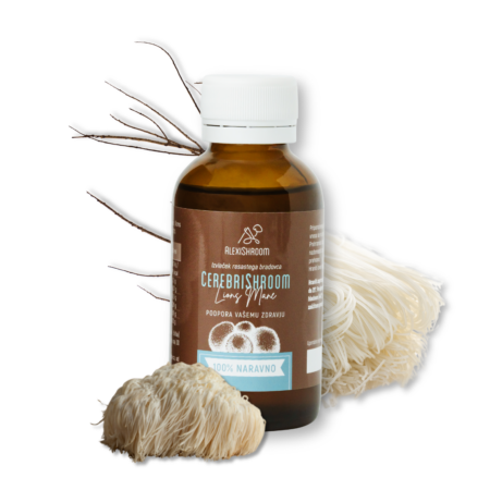 CerebriShroom<br>Resasti bradovec (Lions Mane) - Image 2