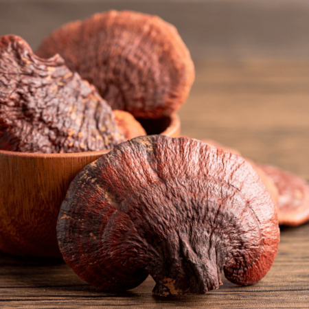 RelaxiShroom<br>Svetlikava pološčenka (Reishi) - Image 3